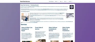 RoyalFlushServices.pro Website Preview